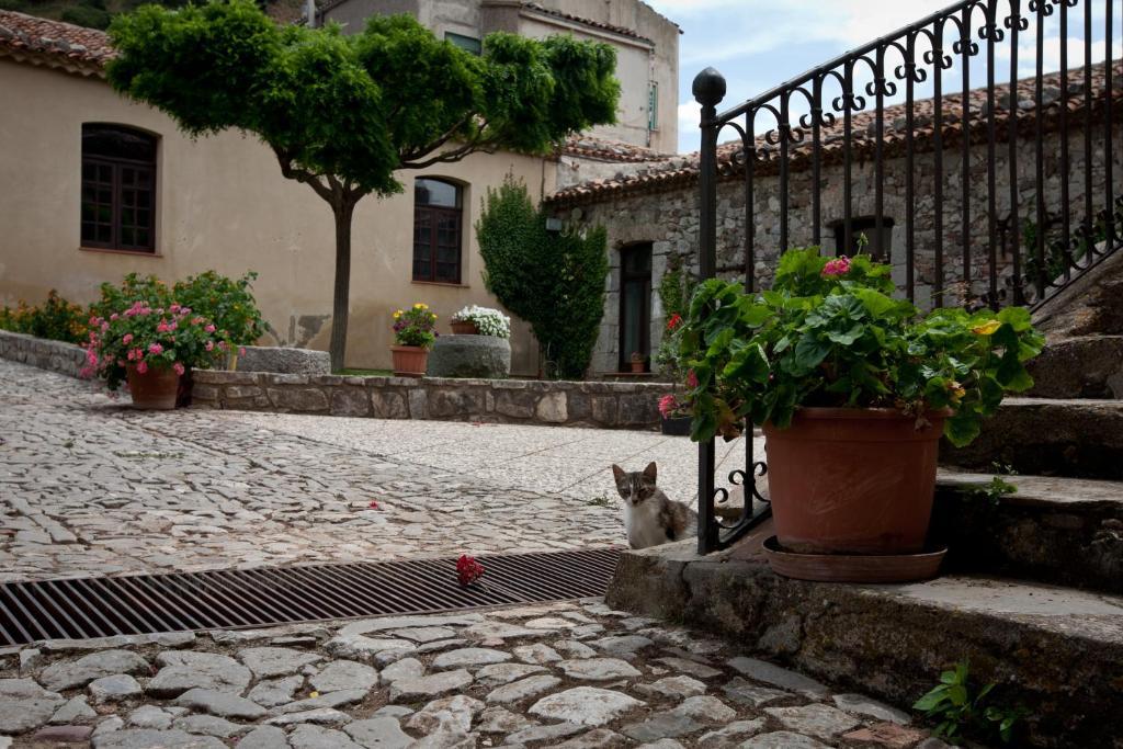 Il Vecchio Frantoio Villa Scillato  Bagian luar foto