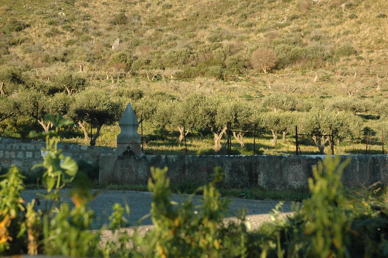 Il Vecchio Frantoio Villa Scillato  Bagian luar foto